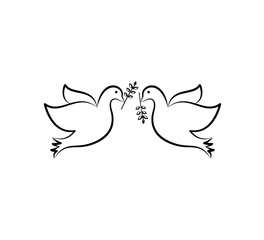 Dove icon vector logo design template