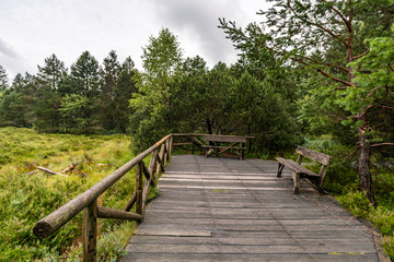 Nature reserve Wilhelmsdorf Pfrunger Ried in Upper Swabia