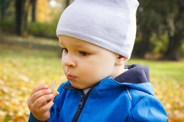 Little child eating biscuit or cookies in autumn park. Dessert for kids