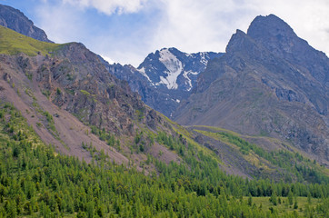 Naklejka premium landscape beautiful snow top of Mount Altai with meadow grass and flowers 