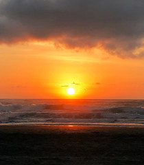 Fototapeta na wymiar Sunset at Bethells Beach, Auckland, New Zealand