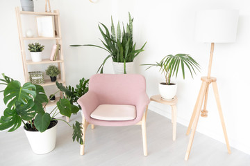 pink armchair in a bright room and lots of indoor plants, a floor lamp and a shelf with books and decor