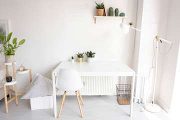Bright working space in the apartment. a white work table with three flowers, a shelf, a floor...