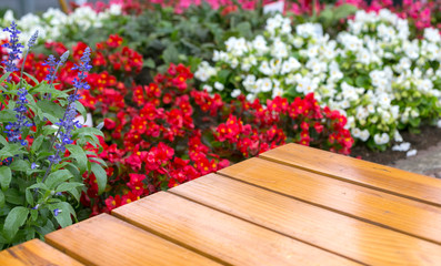 合成素材用ステージ（テーブルと背景の花壇）