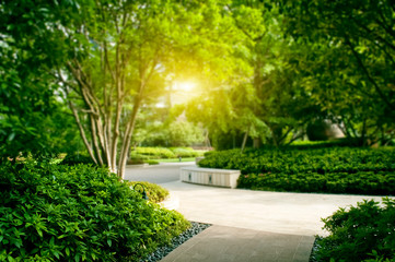 The warm yellow sun shines on the public green plants in the community