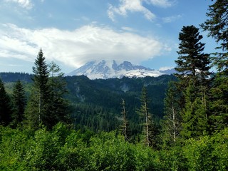 The majestic Mount Rainier on a summer day 