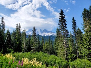 Fototapeta na wymiar The majestic Mount Rainier on a summer day 