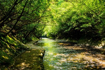 Obraz premium 岳切渓谷