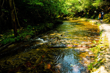 Obraz premium 岳切渓谷