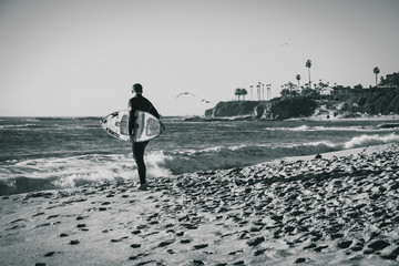 California Surfin' © Andrew