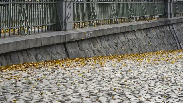 Blowing leaves by wind in Autumn in Prague. fall On A Street Pavement, Coblestone Road