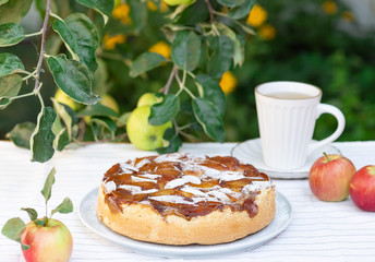 delicious open apple pie on the background of apple tree branches. traditional dessert for the autumn holiday.