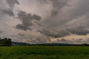 Thunderstorm clouds in the Wilhelmsdorfer Ried in Upper Swabia
