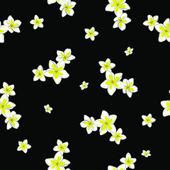 Plumeria Flower Hawaiian Floral Pattern On Black Background Isolated. Tropical Flower Seamless repeat patterns