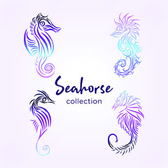 seahorse collection with lineart and gradient color © dagokil