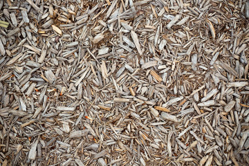 Brown wooden chips for texture background