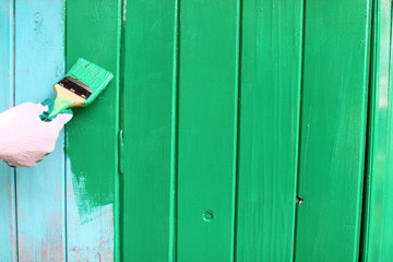 Hand holding paintbrush. Painting in green