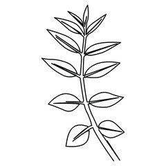 one line continuous drawing leaves and branches