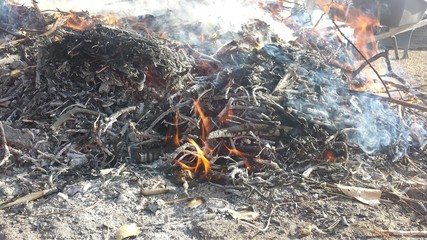 Fire 4
