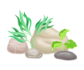 Fototapeta na wymiar Smooth Pebble or Sea Stones with Seaweeds and Algae Vector Illustration