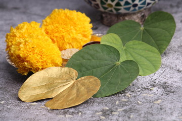 Dussehra or Vijaya Dashmi greeting card , green leaf,Rie and kumkum