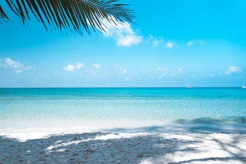 Clear water on the island,Bright blue sea and wooden boat The tourism