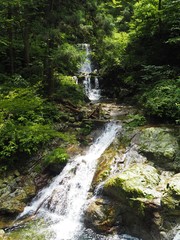 Hossawa Falls in tokyo, JAPAN