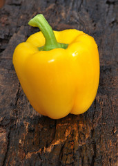 Yellow sweet pepper