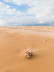A dry leaf on the vast desert.