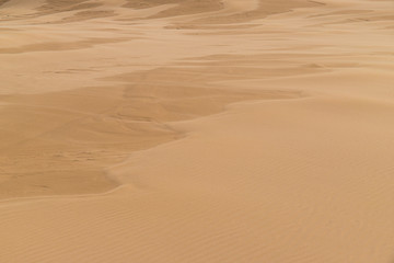 Fototapeta na wymiar Close-up view of desert surface.