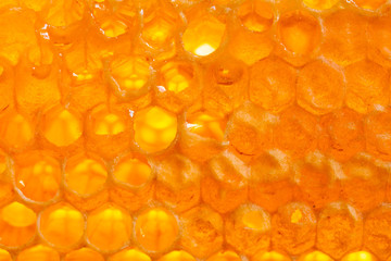 organic honey and rustic bread on a old wooden table. Healthy eating breakfast.