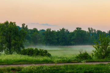 Summer landscape with green misty meadow, trees and sky. Fog on the grassland at morning