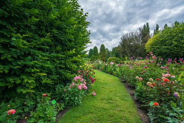 Wroclaw, Poland August 5, 2020; The Botanical Garden of the University of Wrocław.