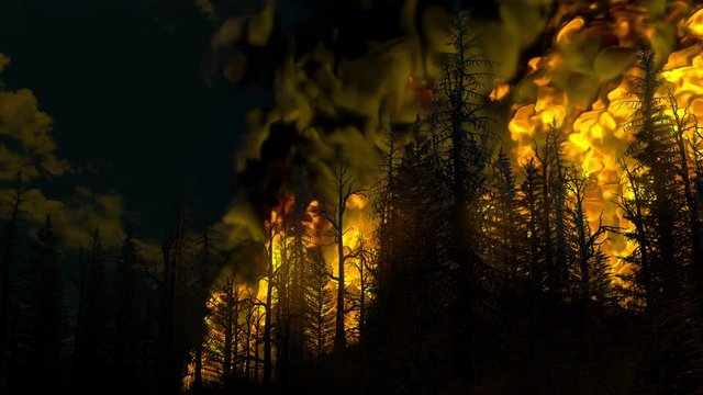 Disaster - forest fire, burning trees on dark sky with smoke and burning flames background - 4K 60fps video, UHD CG animation