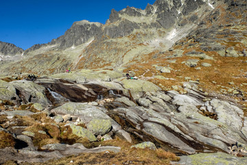  Great Cold Valley in Vysoke Tatry (High Tatras), Slovakia. The Great Cold Valley is 7 km long valley, very attractive for tourists