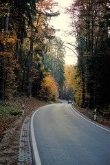 Fototapeta premium Autumn Road view.Autumn landscape.Autumn travel and trips. autumn nature wallpaper 