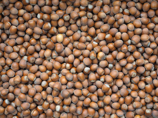 hazelnuts food background