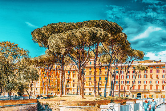 Adrian Bilder Durchsuchen 1,494 Archivfotos, und