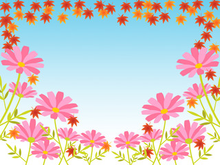 Obraz na płótnie Canvas 秋の花　コスモスと紅葉のナチュラルシンプルな背景フレーム