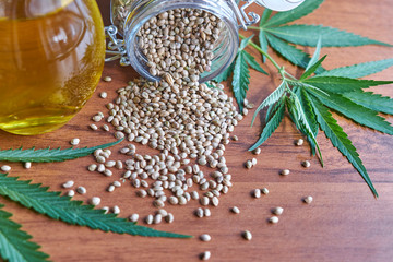 seeds hemp on the table, oil in a glass jar, cannabis leaves isolated on white background