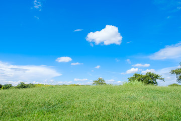 夏の草原　爽やか　背景素材