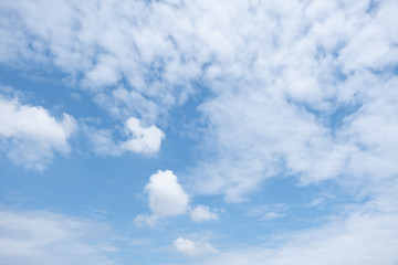 Fototapeta premium 夏の鱗雲と青い空