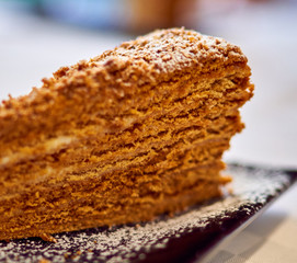 birch trees grow in the forest outside the city