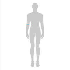 Men to do elbow measurement fashion Illustration for size chart. 7.5 head size boy for site or online shop. Human body infographic template for clothes. 