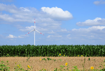 Wind turbine on a green field