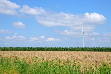 Wind turbine on green field