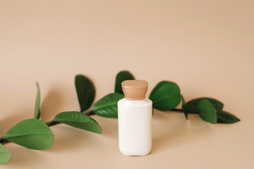 Fototapeta na wymiar A bottle of cream for skin care of the face or body with leaves of zamiokulkas on a beige background. Organic cosmetic products