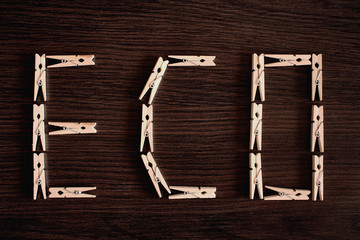clothepins in form of word ECO