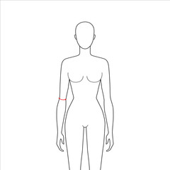 Women to do elbow measurement fashion Illustration for size chart. 7.5 head size girl for site or online shop. Human body infographic template for clothes. 