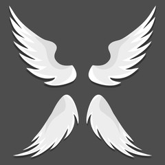 Angel wings, white angel wings isolated on black background. Vector, cartoon illustration.